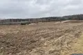 Grundstück 25 000 m² Promna Kolonia, Polen