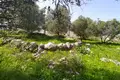 Land  Drapanos, Greece