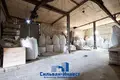 Produktion 1 246 m² Staroje Sialo, Belarus