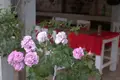 Haus 3 zimmer 700 m² Risan, Montenegro