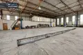 Gewerbefläche 1 135 m² in Hannusburg, Litauen