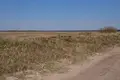 Land  Palanga, Lithuania