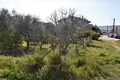 Atterrir 375 m² Nauplie, Grèce