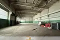 Склад 185 м² в Борисове, Беларусь