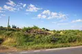 Działki 8 700 m² Kassandrino, Grecja