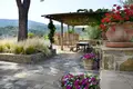 Propiedad comercial 782 m² en Seggiano, Italia