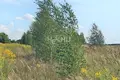 Land 2 000 m² Gorodetsky District, Russia