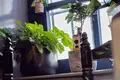 Коммерческое помещение 72 м² Ронда, Испания