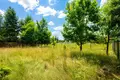 Dom 831 m² Grebow, Polska