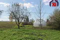 House 41 m² Bielicki sielski Saviet, Belarus