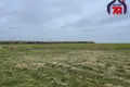 Grundstück  Smilavicki sielski Saviet, Belarus