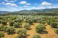 Parcelas 9 312 m² Agios Nikolaos, Grecia
