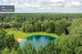 Land  Sviloneliai, Lithuania