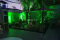 Villa 8 bedrooms 515 m² Rawai, Thailand