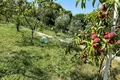 3 bedroom house 208 m² Tomba, Montenegro
