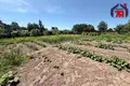 House 137 m² Kliapcany, Belarus