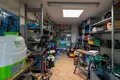 Tienda 527 m² en Kazmierz, Polonia