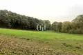 Dom 10 pokojów 474 m² Lonato del Garda, Włochy