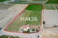 Дом  Ориуэла, Испания