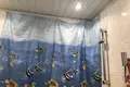 1 room apartment 38 m² in Saint Petersburg, Russia