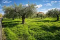 Atterrir 2 800 m² Kassandrino, Grèce