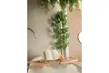 Wohnung 3 zimmer 83 m² Durrës, Albanien