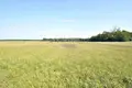 Apartment 14 000 m² Esterpole, Poland