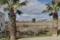Land  Paphos Municipality, Cyprus