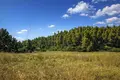 Atterrir 18 000 m² Kassandrino, Grèce