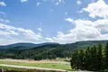 FORMER HOLIDAY COMPLEX / BUSINESS PROPERTY IN YUNDOLA, VELINGRAD MUNICIPALITY, BULGARIA
