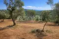 Land 14 521 m² Ammouliane, Greece