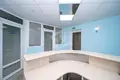 Commercial property 220 m² in Minsk, Belarus