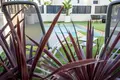 Stadthaus 3 Schlafzimmer 170 m² Urbanizacion Dona Pepa, Spanien