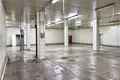 Производство 4 100 м² Радостное, Украина