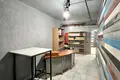 Propiedad comercial 47 m² en Minsk, Belarús