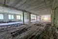 Commercial property 2 491 m² in Pleshchanitsy, Belarus