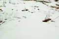 Atterrir  Kolašin, Monténégro