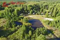 Habitación 1 000 m² Naracki sielski Saviet, Belarús