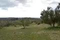Земельные участки 1 комната  Полигирос, Греция