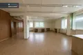 Gewerbefläche 373 m² in Alitten, Litauen