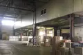 Magazyn 7 800 m² Bronnicy, Rosja