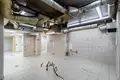 Shop 525 m² in Minsk, Belarus