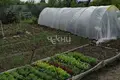 Atterrir 600 m² Bor, Russie