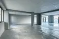Propiedad comercial 253 m² en Tiflis, Georgia