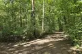 Mieszkanie 216 m² Poznań, Polska