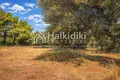 Parcelas 15 000 m² Nikiti, Grecia