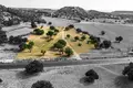 Land  Avdimou Municipality, Cyprus