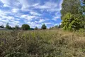 Land  Haradzishcha, Belarus