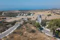 Restaurant  in Kouklia, Cyprus