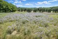 Parcelas 5 200 m² Nea Triglia, Grecia